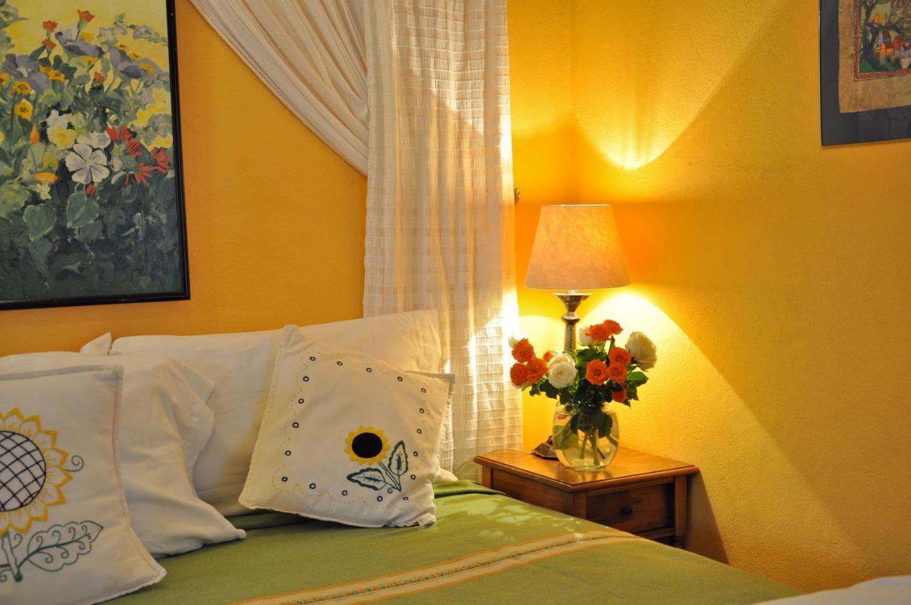 Casa De La Cuesta B&B 圣米格尔－德阿连德 外观 照片